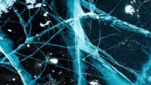 Neural Lace: Weaving a Smarter, More Connected Future