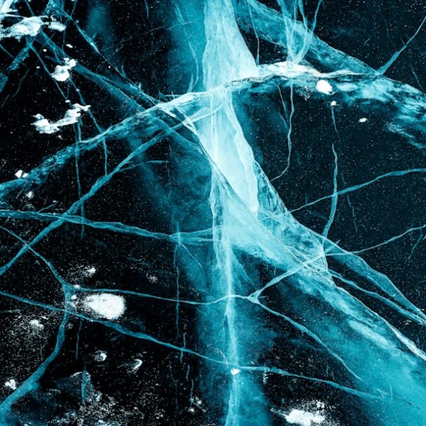 Neural Lace: Weaving a Smarter, More Connected Future
